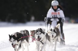 Lenzerheide 2013